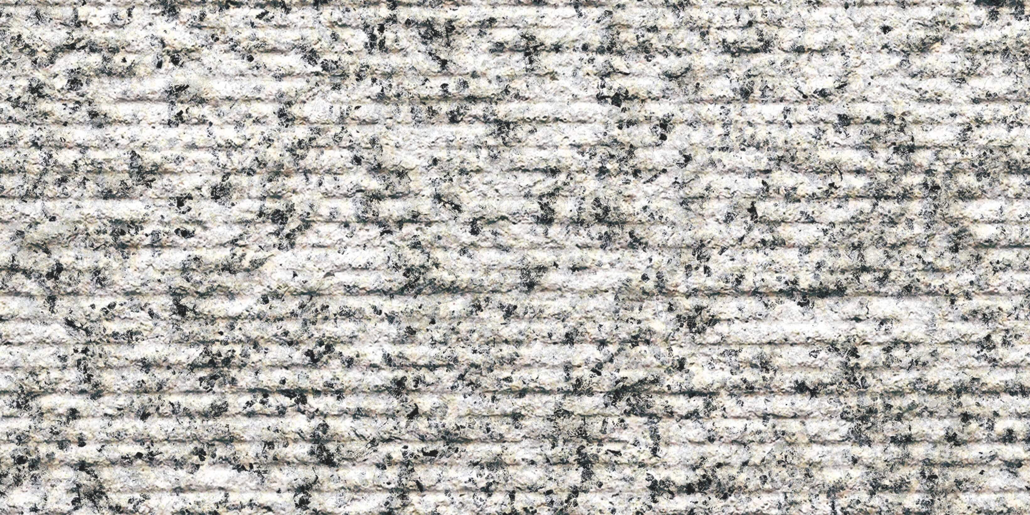 trắng Sesame 