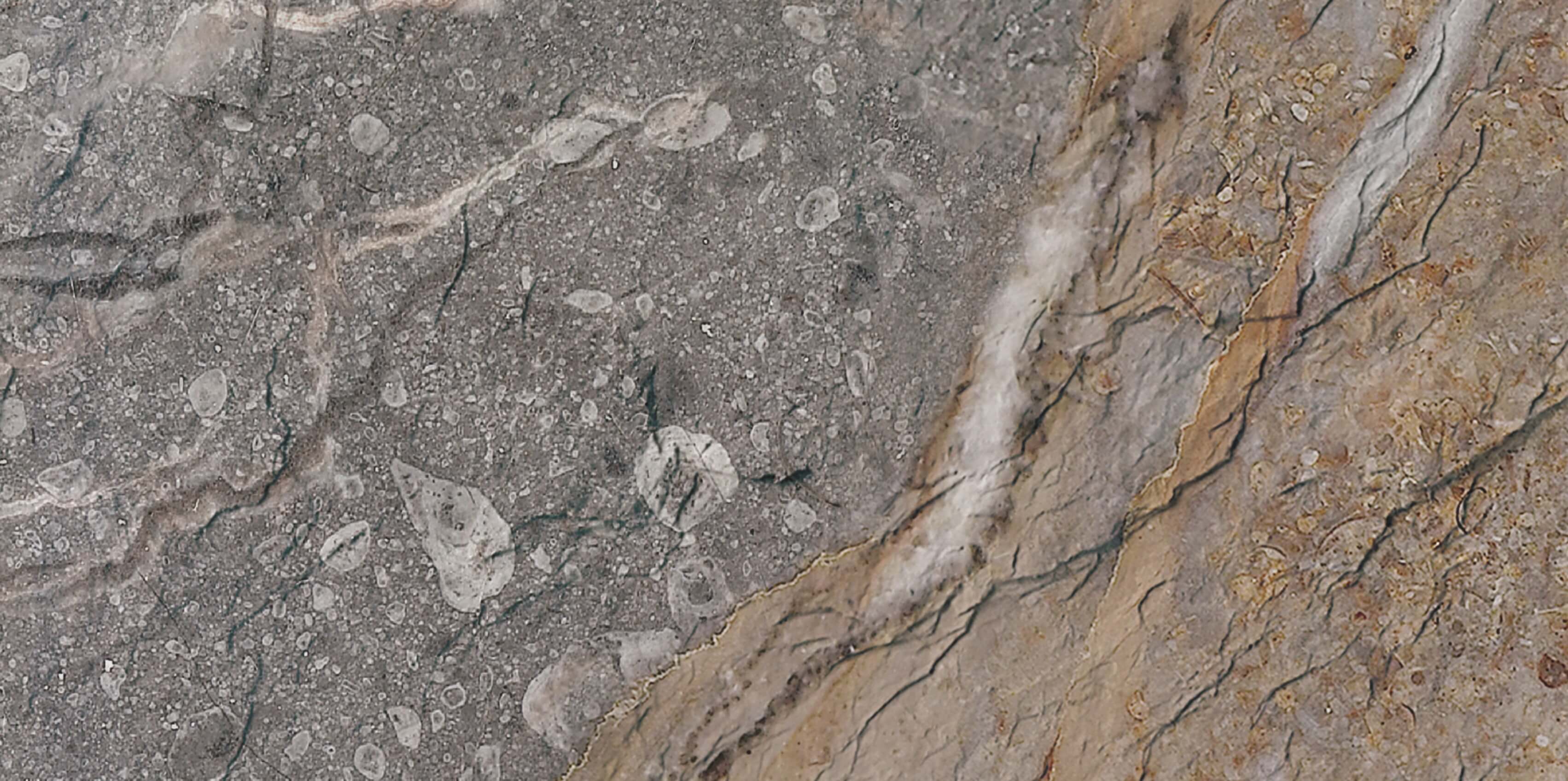 Rock Mottle N&acirc;u 