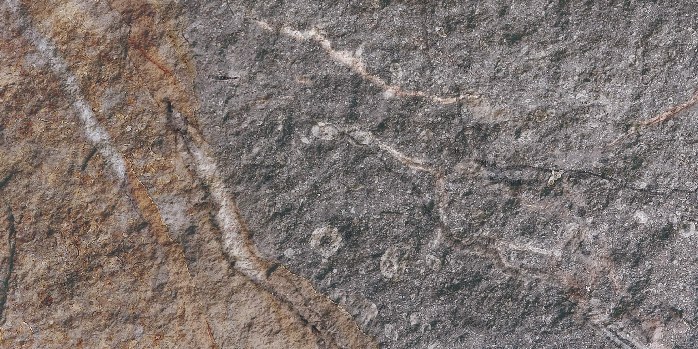 Rock Mottle N&acirc;u 