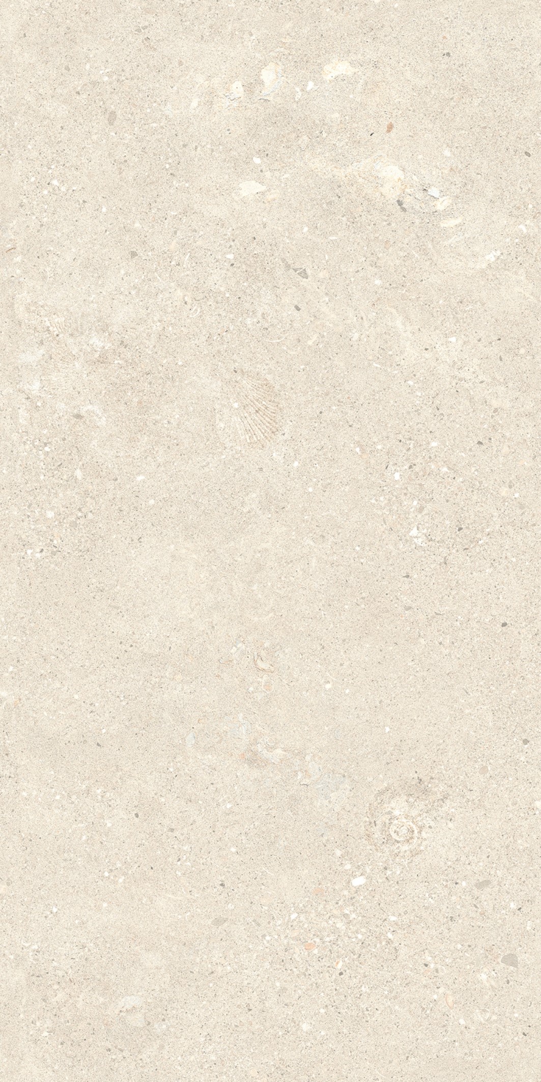 Cẩm thạch-Shellfish đ&aacute; v&ocirc;i &aacute;nh s&aacute;ng m&agrave;u Beige 