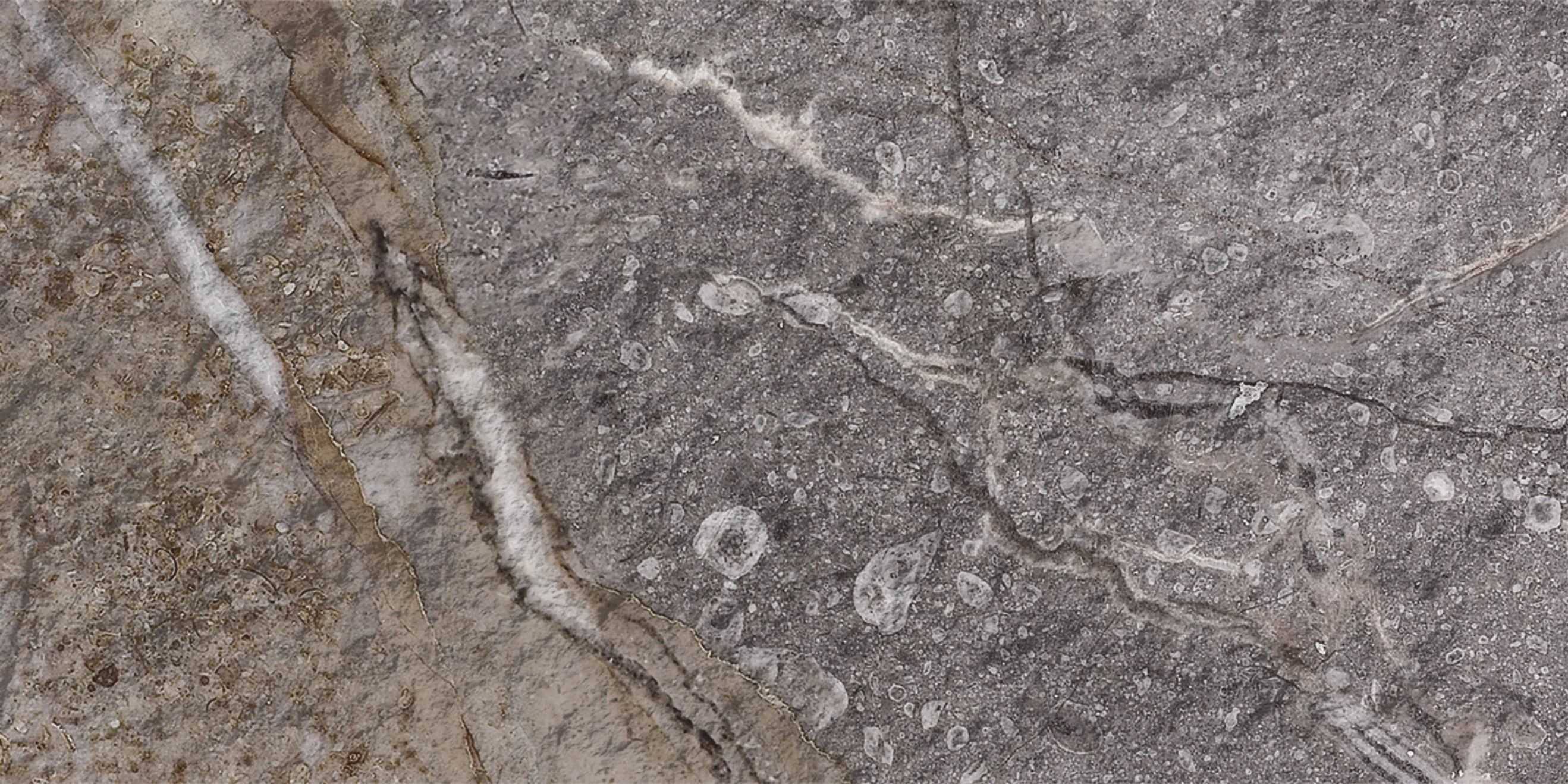 Rock Mottle N&acirc;u 